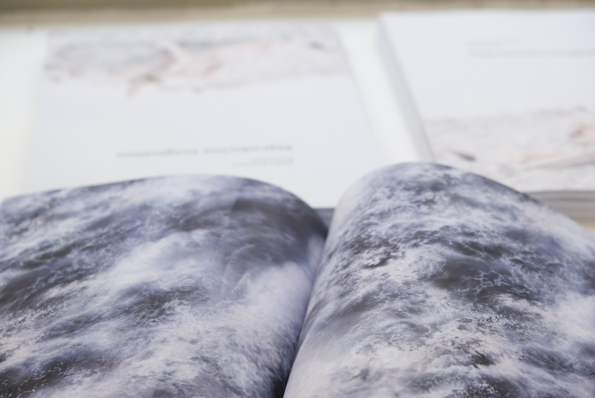 Reproductive Imagination